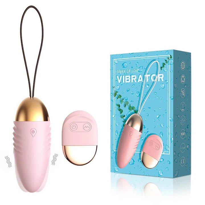 10 Modes Vibrating Egg Vibrator